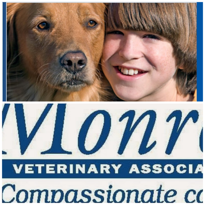 Review Monroe veterinary associates image 252974