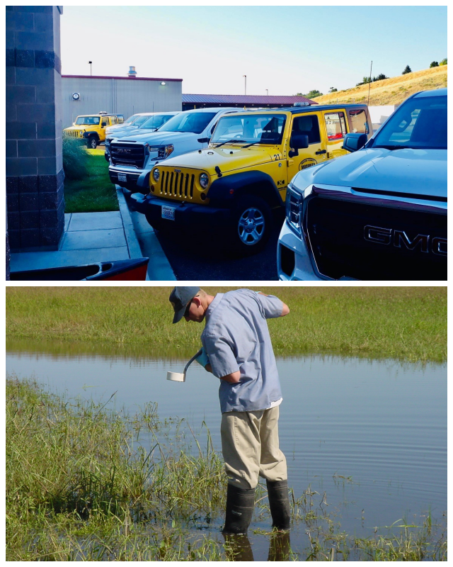 Review Benton county mosquito control image 323878