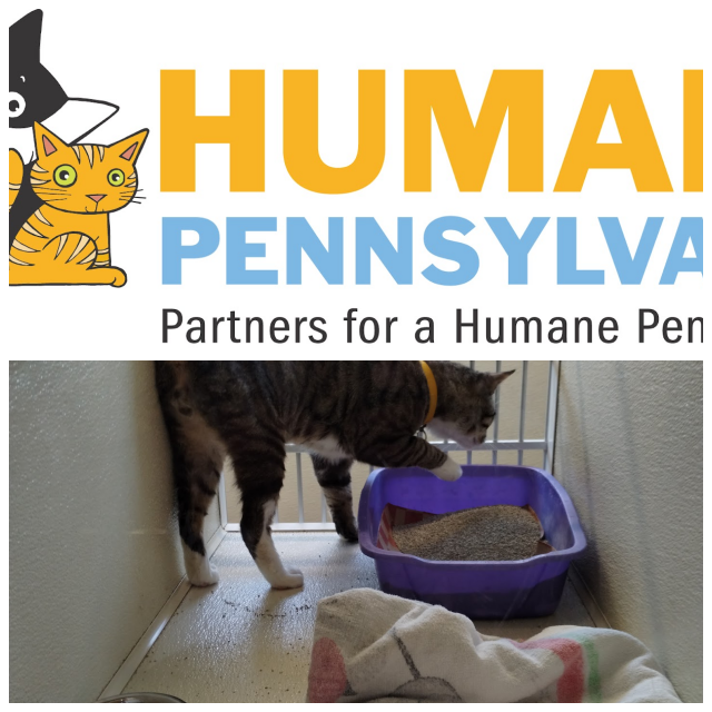 Review Humane League of Lancaster County image 146500