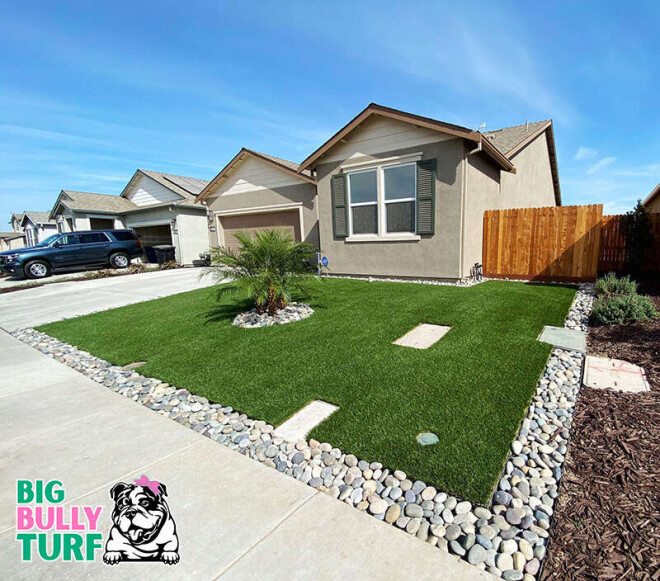 Review Big Bully Turf image 357086