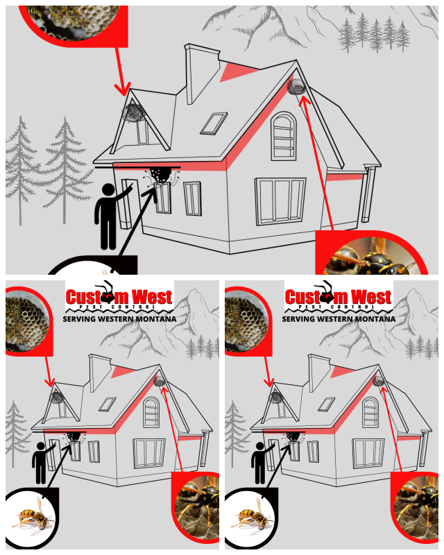 Review Custom West Pest Control image 151734