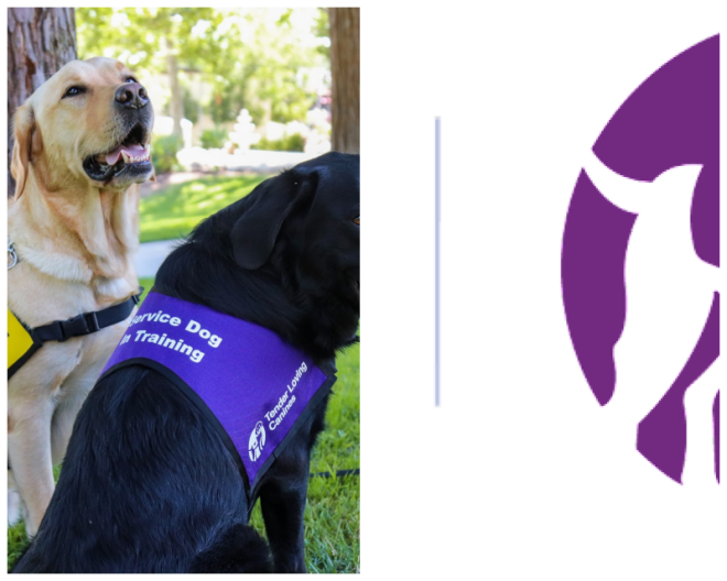 Review Tender Loving Canines Assistance Dogs, Inc. (TLCAD) image 180864