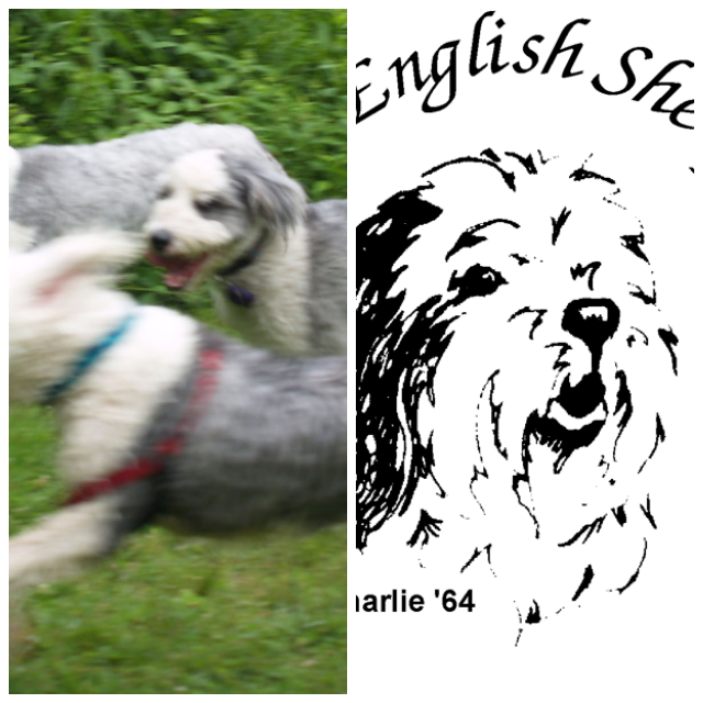 Review New England Old English Sheepdog Rescue, NEOESR image 205655