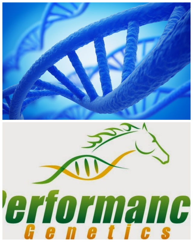 Review Performance genetics image 335869