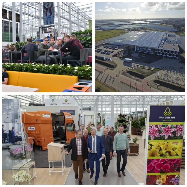 Review Horti style Pakistan image 160710