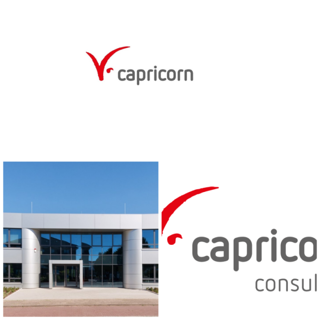 Review Capricorn Consulting GmbH image 119049