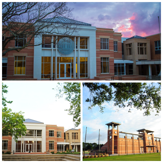 Review Norfolk academy image 247085