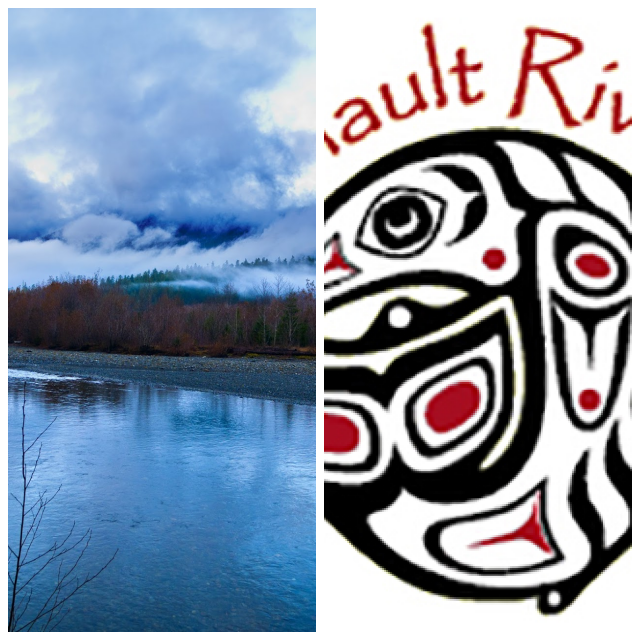 Review Quinault river inn image 342215