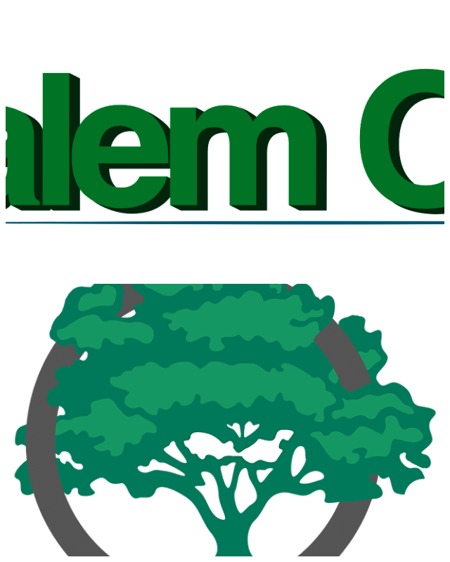 Review Salem oaks consulting image 349420
