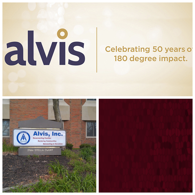 Review Alvis, Inc. image 162115