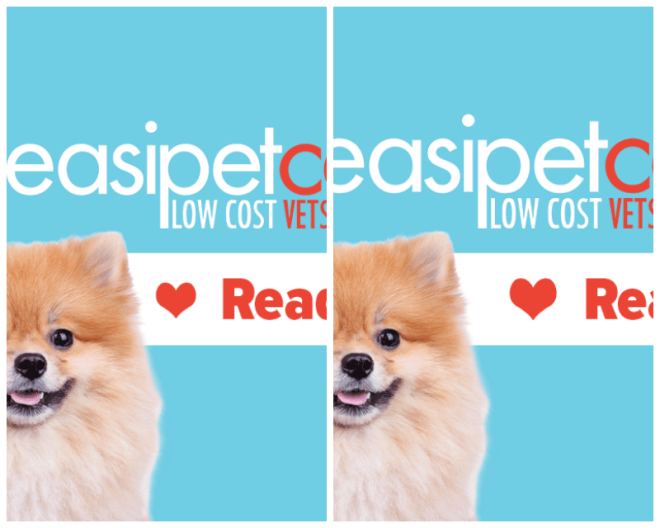 Review Easipetcare Reading image 23788