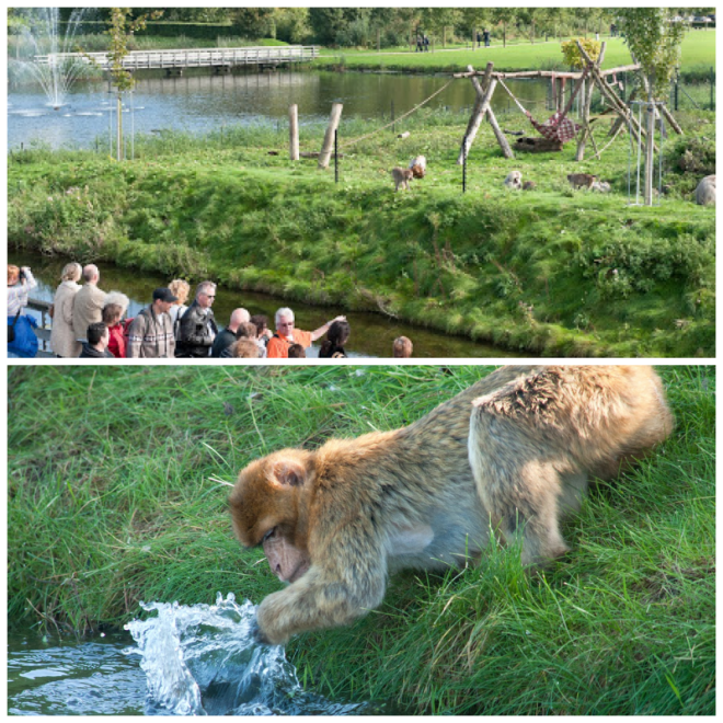 Review Stichting AAP image 52733