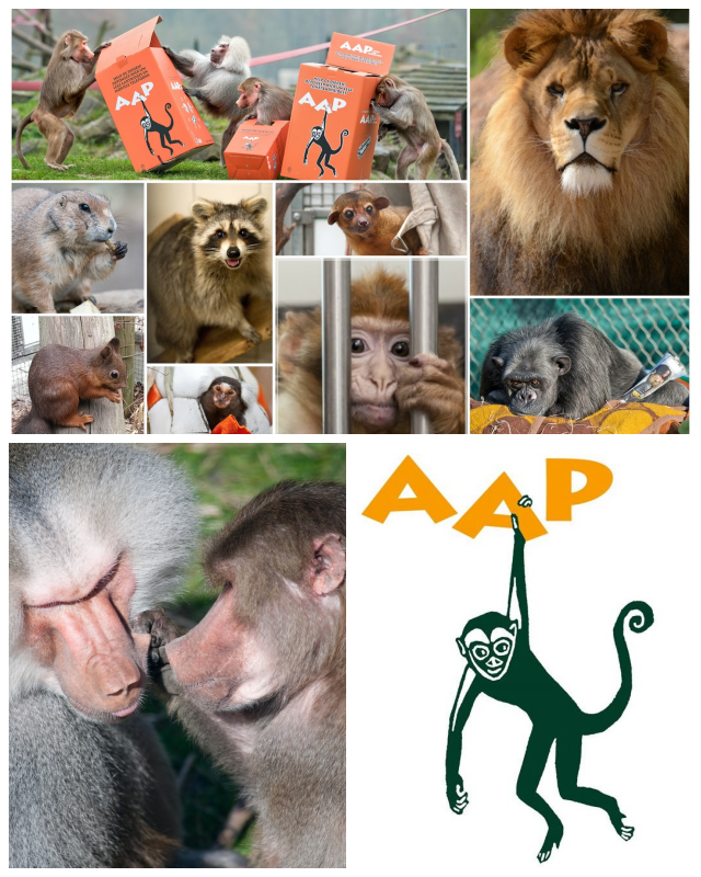 Review Stichting AAP image 52734