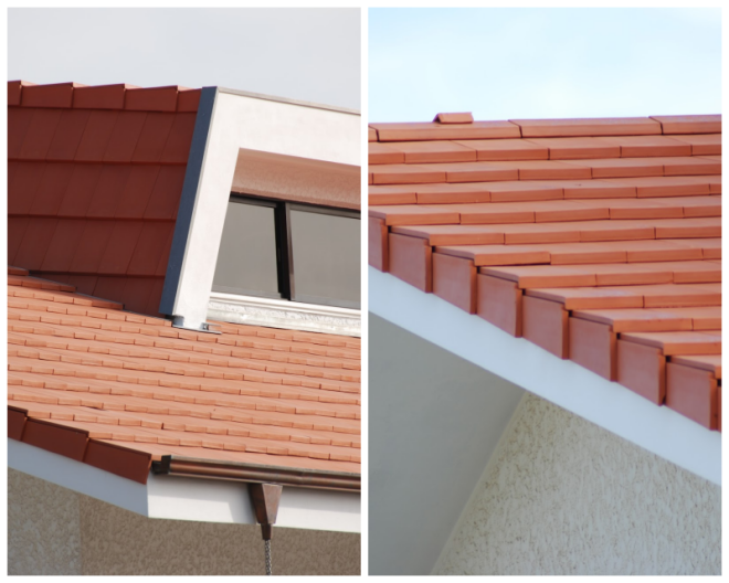 Review CS - Coeho da Silva, S.A. image 57274