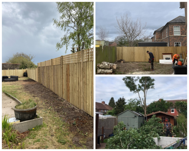 Review Lewis Tree Service Inc. image 21783
