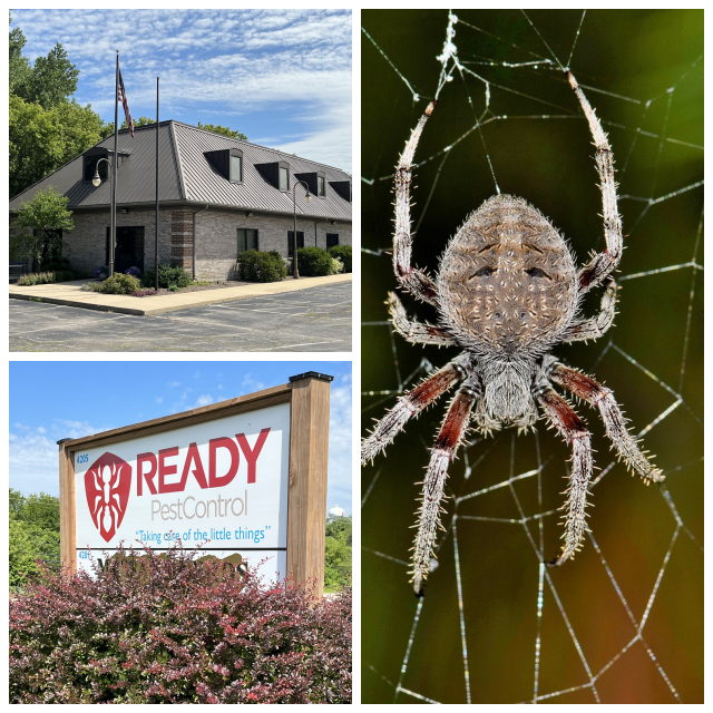 Review Ready Pest Control image 12862