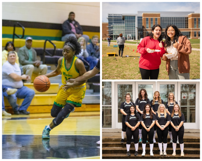 Review Motlow state community college image 242691
