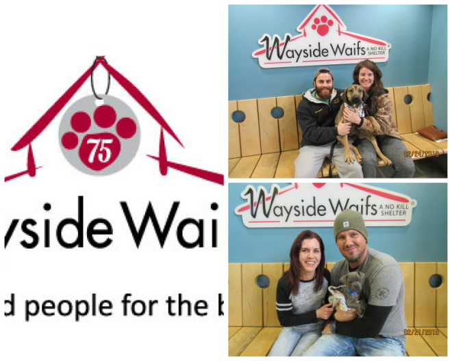 Review Wayside waifs image 264996