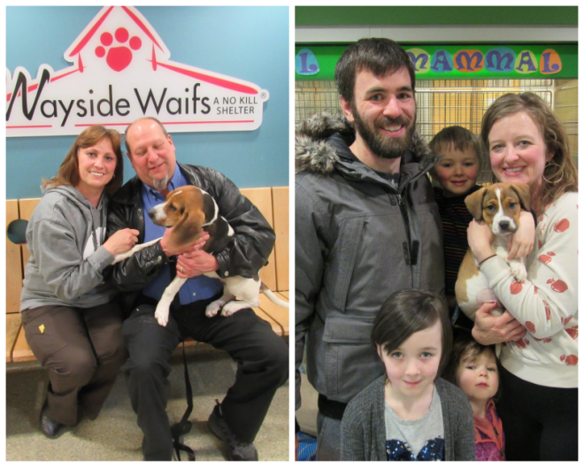 Review Wayside waifs image 264997