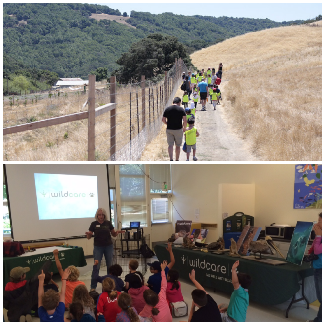 Review LFSF Camps image 81187