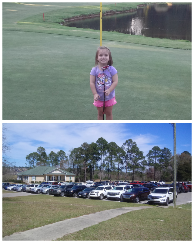 Review Indian river golf course image 301261