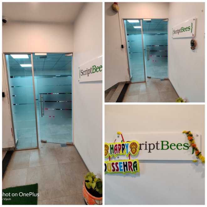 Review ScriptBees IT PVT LTD image 48207