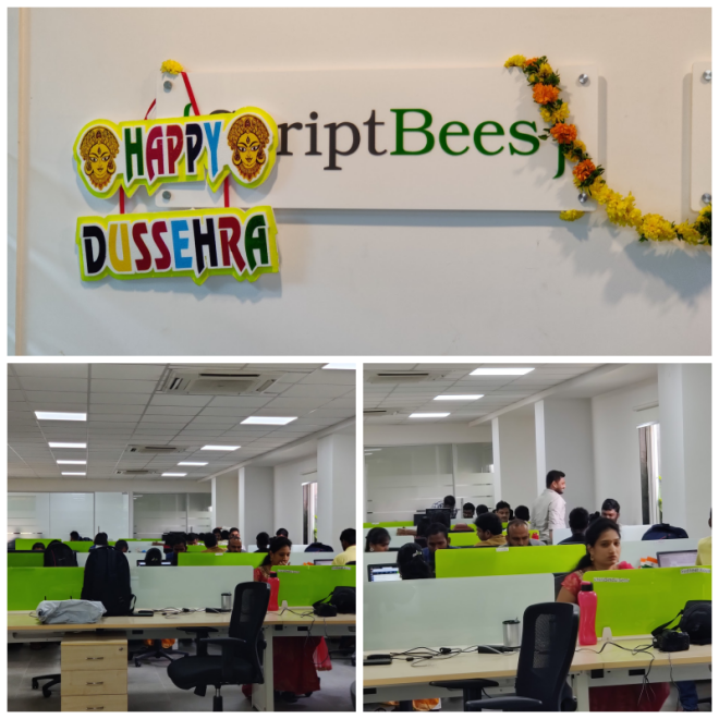 Review ScriptBees IT PVT LTD image 48209