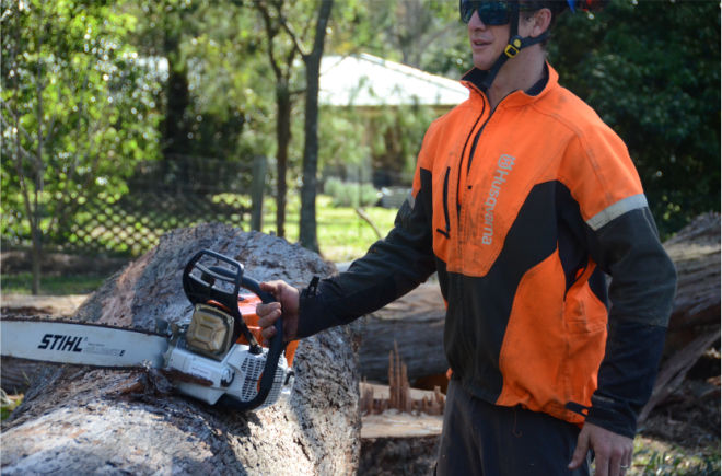 Review Urban Tree Solutions image 359479