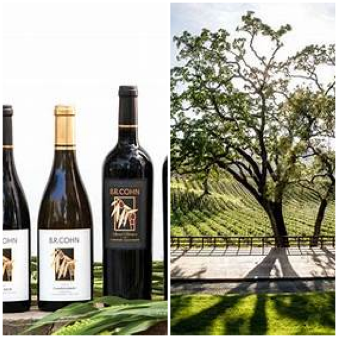 Review B.R. Cohn Winery image 1354