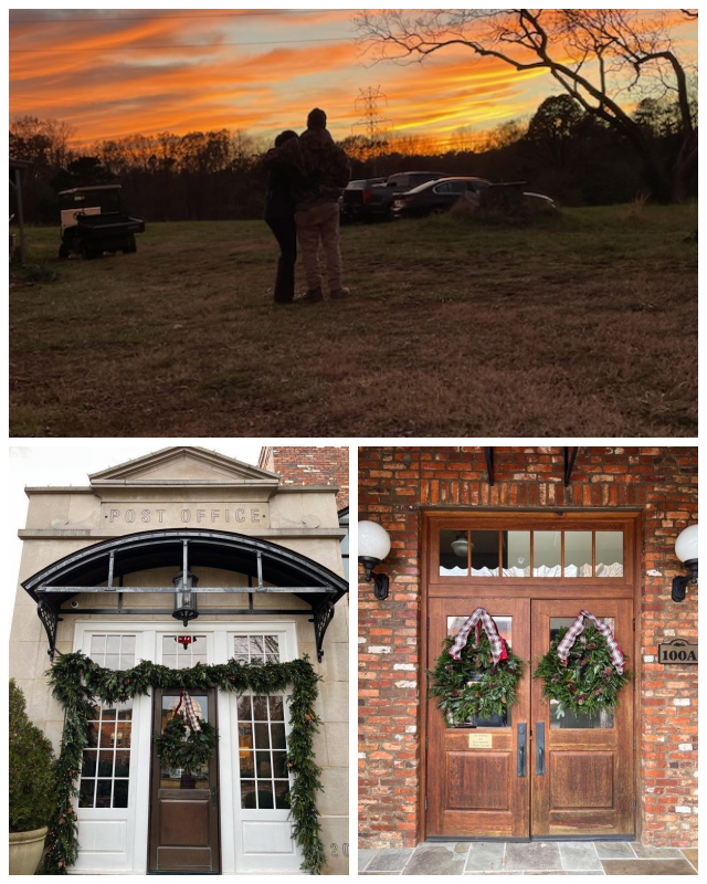Review Mystic Farms Tree Farm Nursery & Wholesale, DBA image 177719