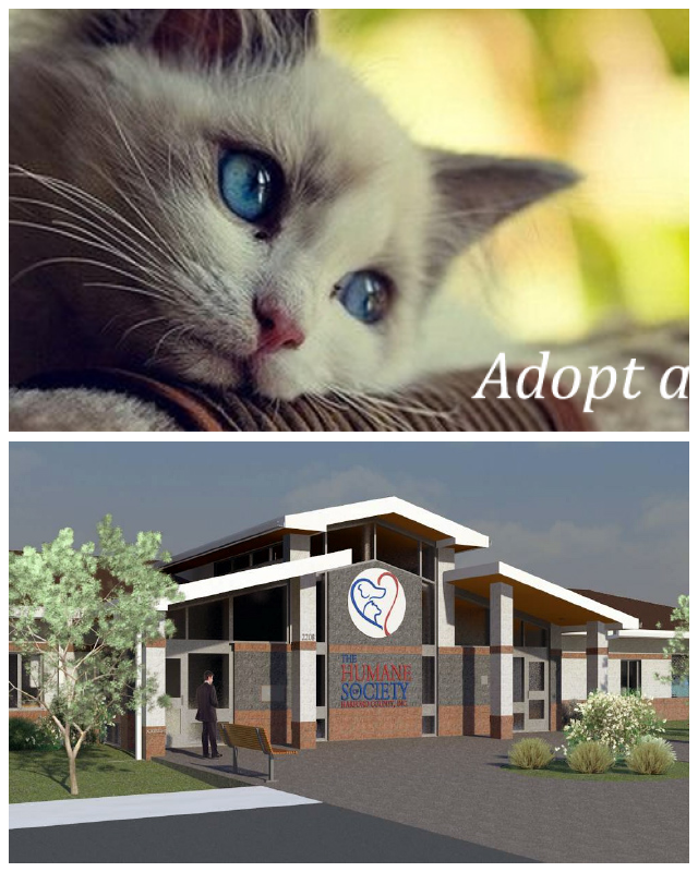 Review Humane Society of Harford County image 175418