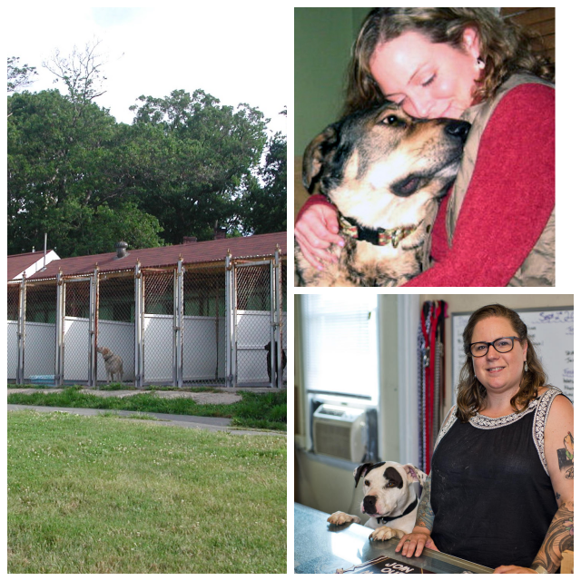 Review Humane Society of Harford County image 175421