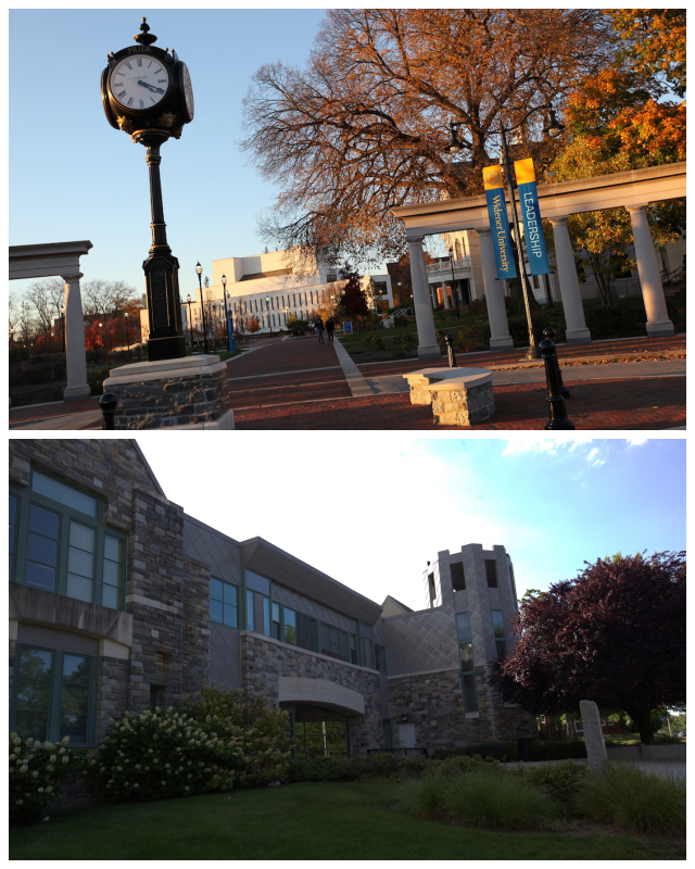 Review Widener university image 239769
