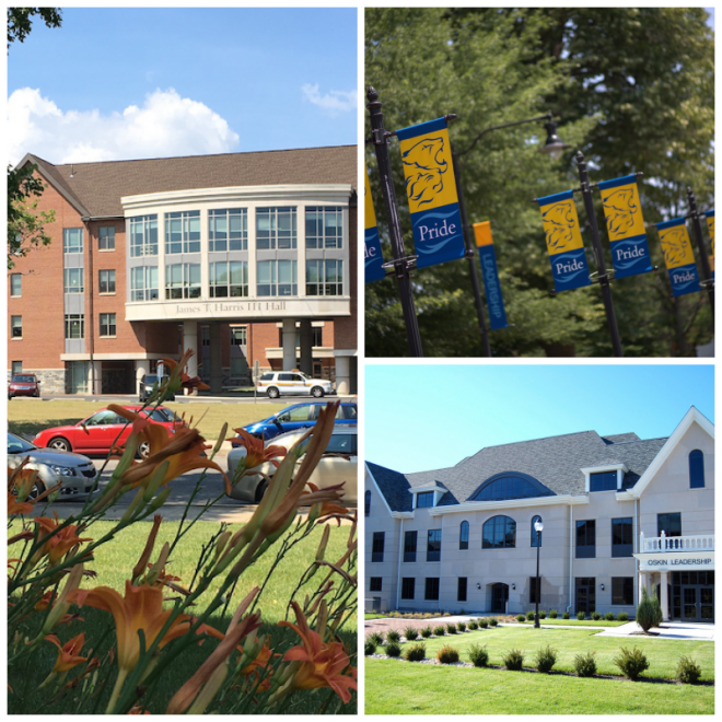 Review Widener university image 239770