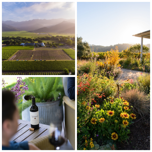 Review Larkmead Vineyards image 80784