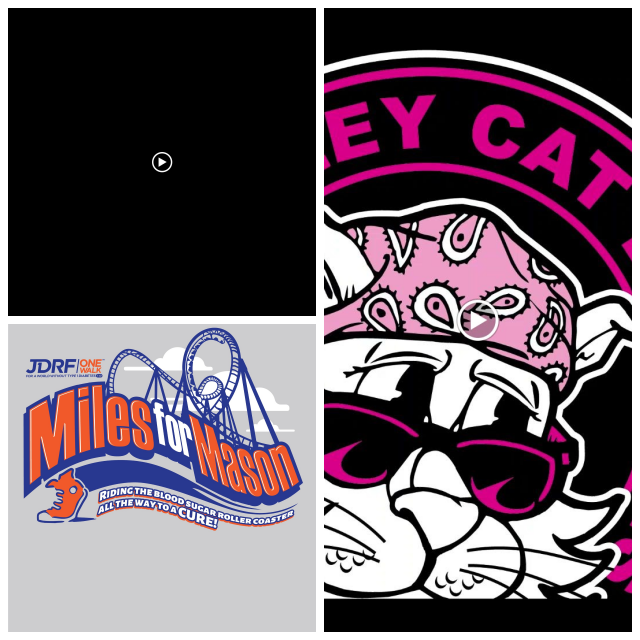 Review Alley Cat Design image 172218