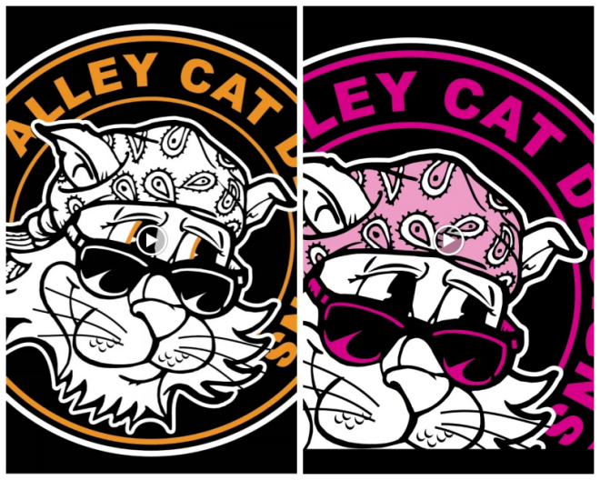 Review Alley Cat Design image 172219