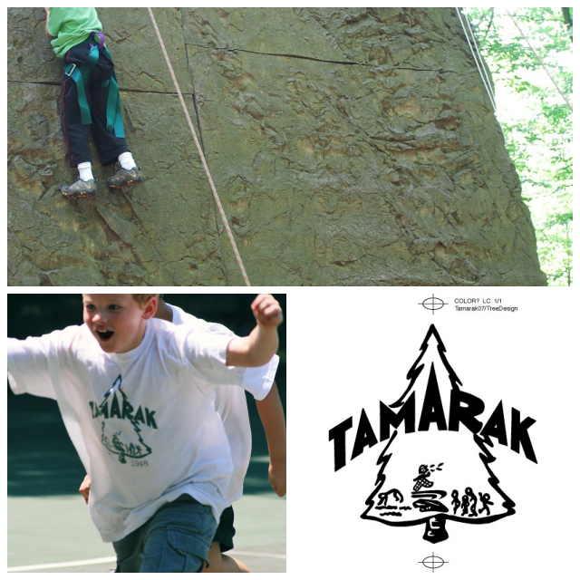 Review Tamarak Day Camp image 60099