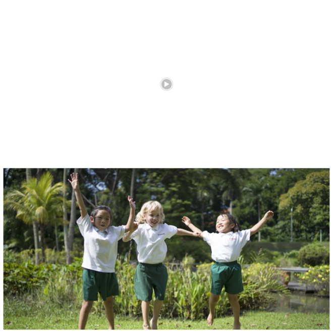 Review Sentosa Development Corporation image 90337