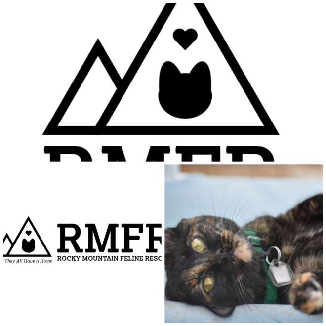 Review Rocky Mountain Siamese Rescue image 109829