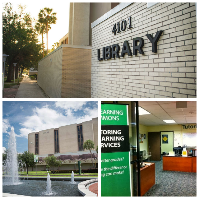 Review USF library image 79815