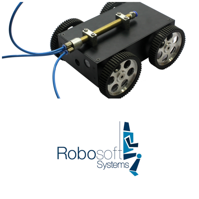 Review Robosoft systems image 346922