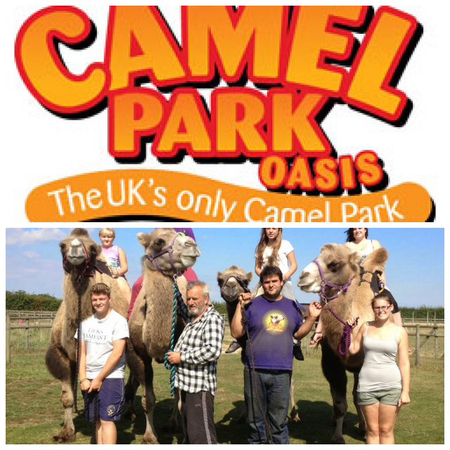 Review Oasis Camel Centre image 86960