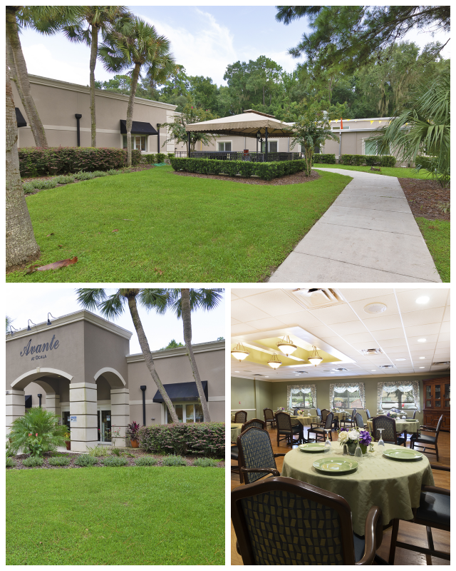 Review Avante at Ocala image 153956