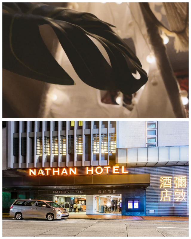 Review Nathan Hotel image 211754
