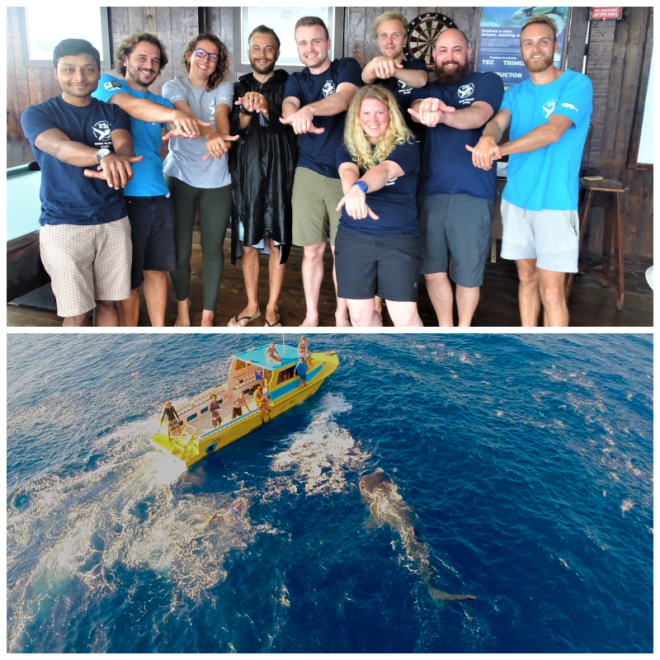 Review Utila Dive Center image 188435