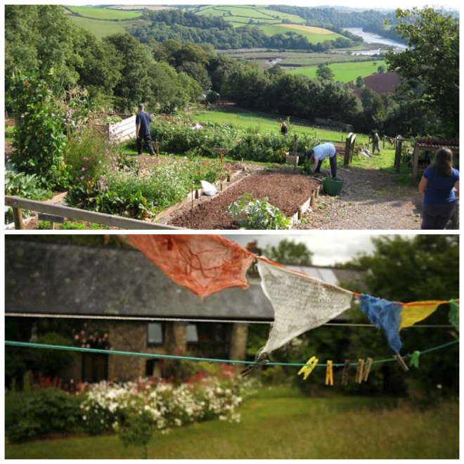 Review The Barn Retreat Centre/Sharpham Trust image 211554