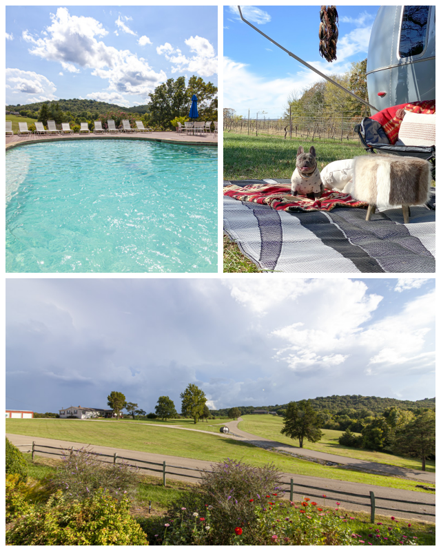 Review Chaumette Vineyards & Winery image 74703