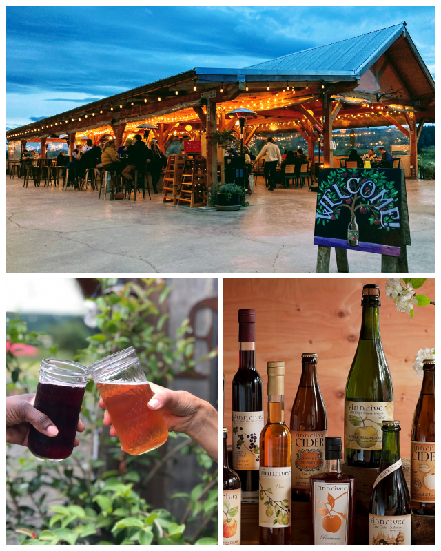 Review Finnriver Craft Cider image 183914