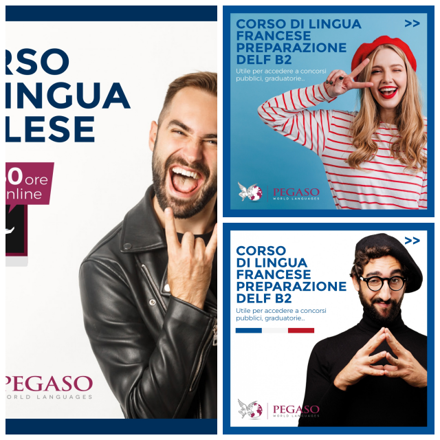 Review Pegaso csf image 35657